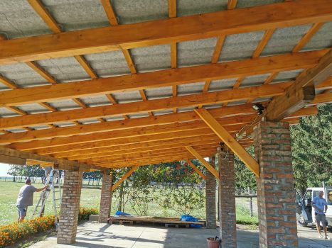 305642501_502202335241423_9037124616934850548_n