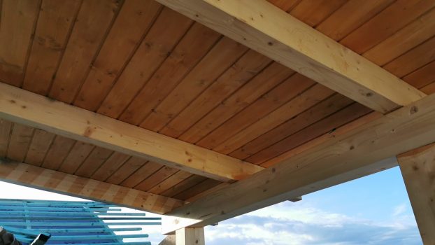 310446575_522725629855760_2422015896819306611_n